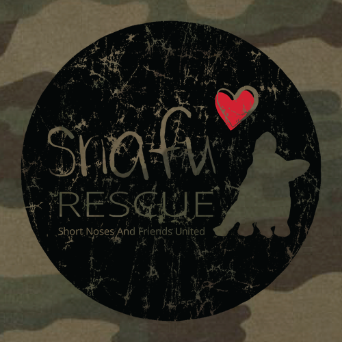 Independent Trading Co. Unisex Hooded Pullover Camo -- Forest Camo