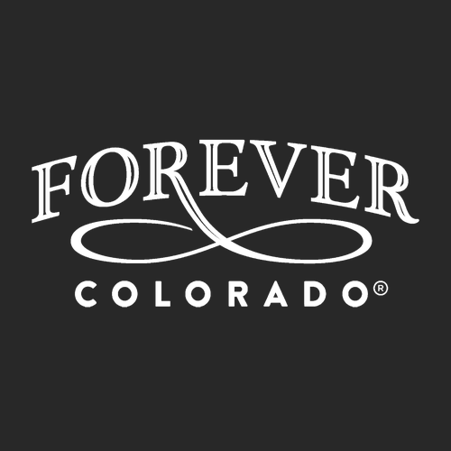 Forever Colorado Heavy Blend Hooded Sweatshirt -- Black