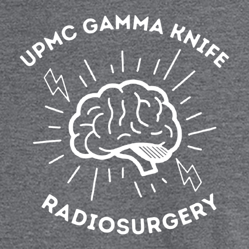 Gildan SoftStyle T-Shirt -- Graphite Heather