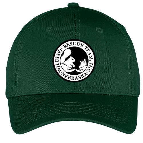 Port and Company 6-panel Twill Hat -- Hunter