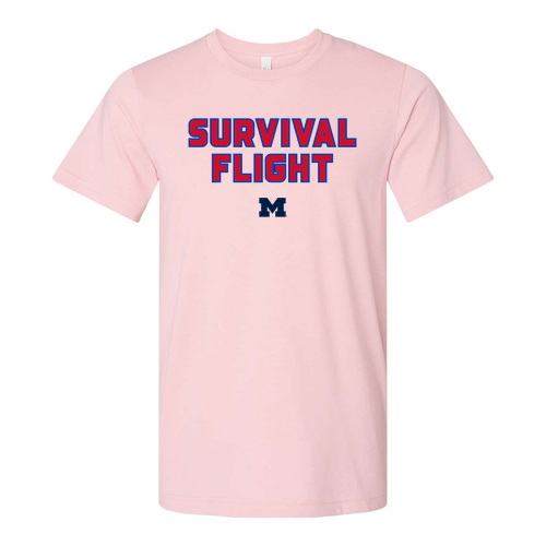 Mens/Unisex Bella Canvas Soft Fitted Heather CVC T-Shirt -- Heather Pink