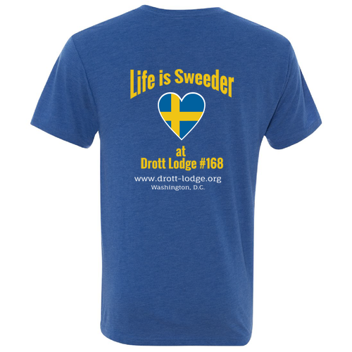 Next Level Mens Tri Blend V Neck -- Vintage Royal