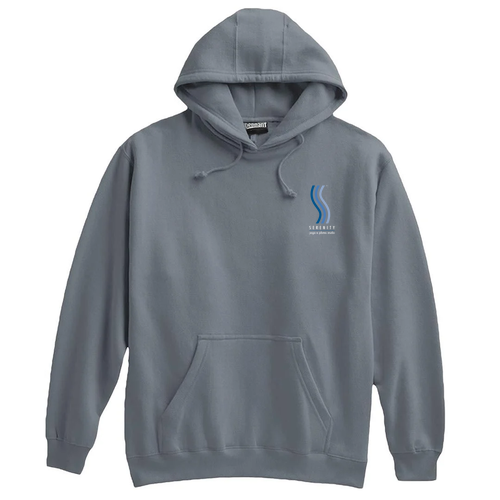 Pennant Super-10 Hoodie -- Steel