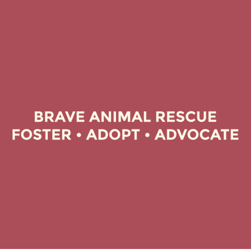 Embroidered Brave Tee -- Crimson