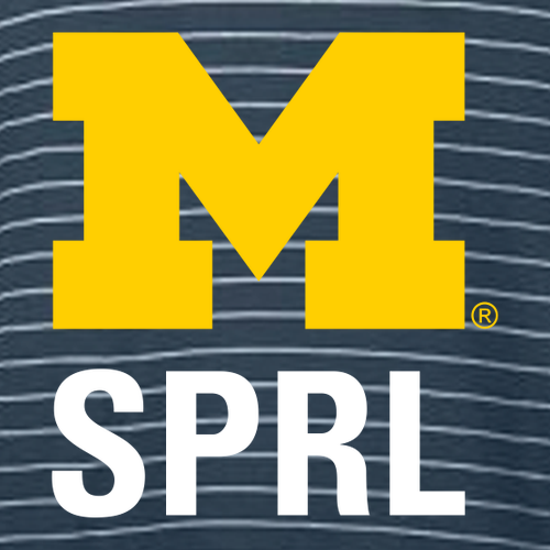 Ladies Charles River Windsor Henley -- Navy / White Stripe, SPRL Logo