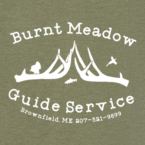 Gildan Softstyle CVC T-Shirt -- Cactus