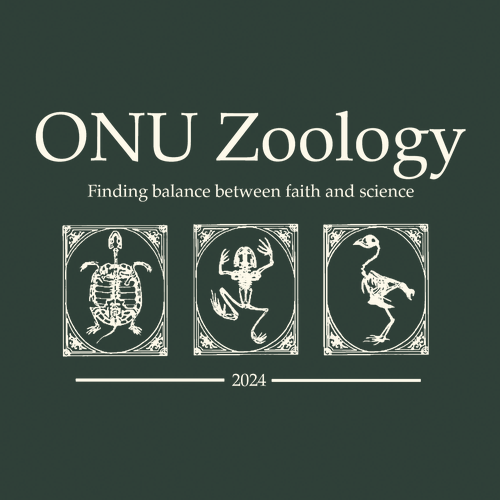 Gildan Heavy Blend Crew Neck Sweatshirt -- Forest Green