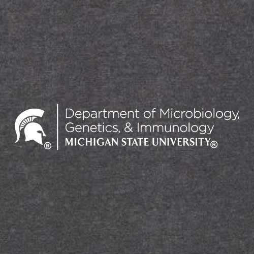 J America Sport Lace Hooded Sweatshirt -- Charcoal Heather