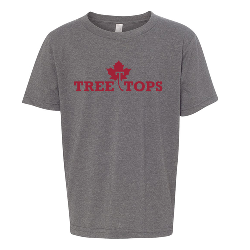 Youth Heather Grey Next Level Shirt