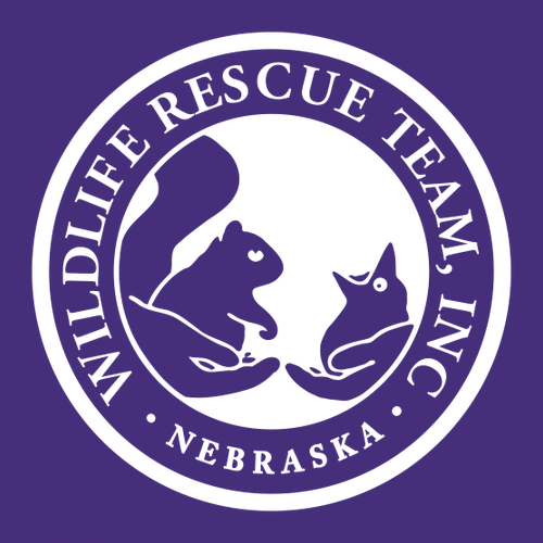 Gildan Heavy Blend Crew Neck Sweatshirt -- Purple