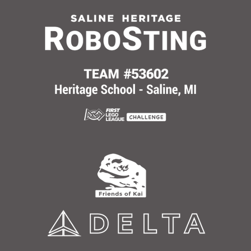 Mens/Unisex Gildan Softstyle Fitted T-Shirt -- Charcoal, RoboSting 53602