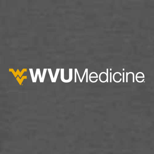 Gildan Softstyle Longsleeve T Shirt -- Charcoal