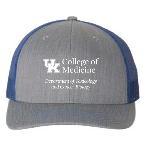 Richardson Snapback Trucker Cap -- Heather Grey / Royal