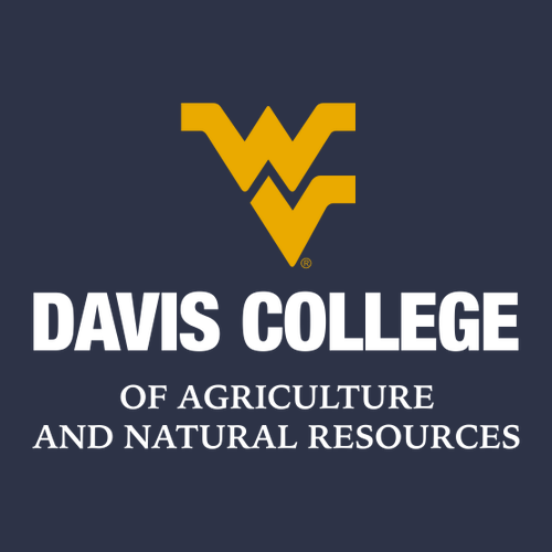 District Threads Young Mens Concert Tee -- New Navy