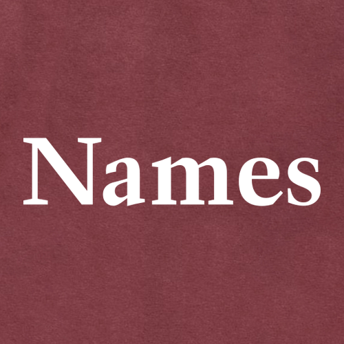 Comfort Colors Ringspun Long Sleeve Tee -- Brick