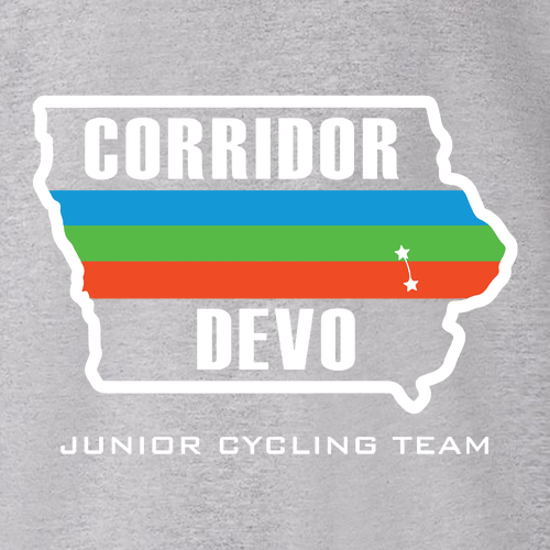 Champion Youth Hoodie -- Light Steel