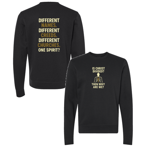 Divided Crewneck Sweater -- Black