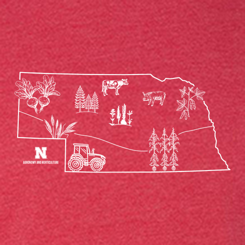 Hanes Perfect-T Ring Spun T-Shirt -- Heather Red