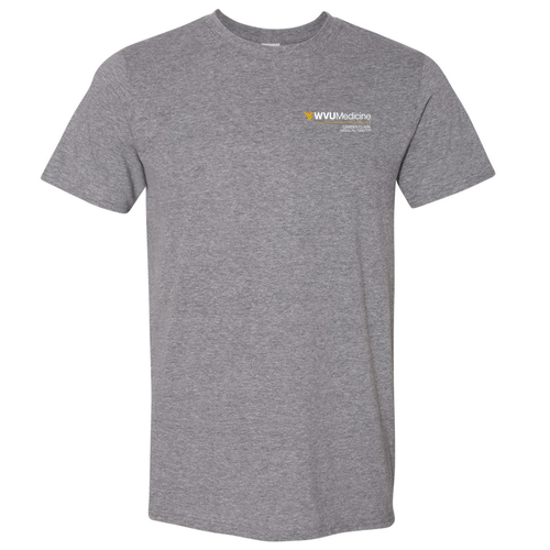 Gildan SoftStyle Fitted T-Shirt -- Graphite Heather