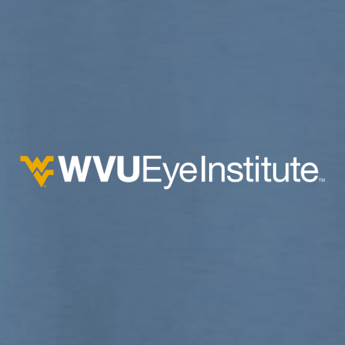 Gildan Heavy Cotton Longsleeve Basic T-Shirt -- Indigo Blue