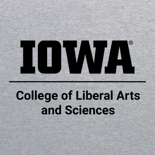 Gildan Heavy Cotton Longsleeve Basic T-Shirt -- Sport Grey