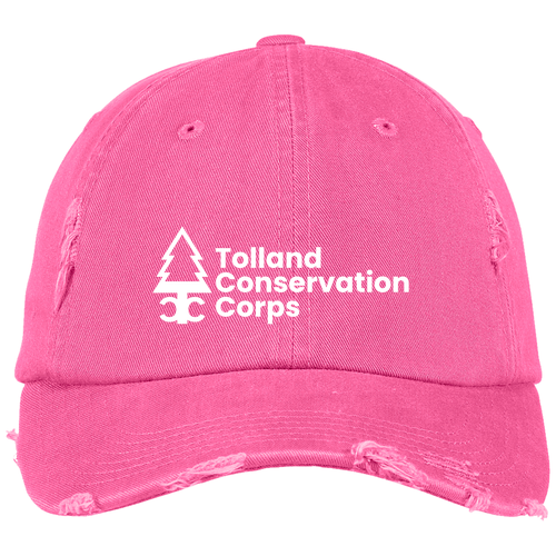 District Threads Distressed Hat -- True Pink
