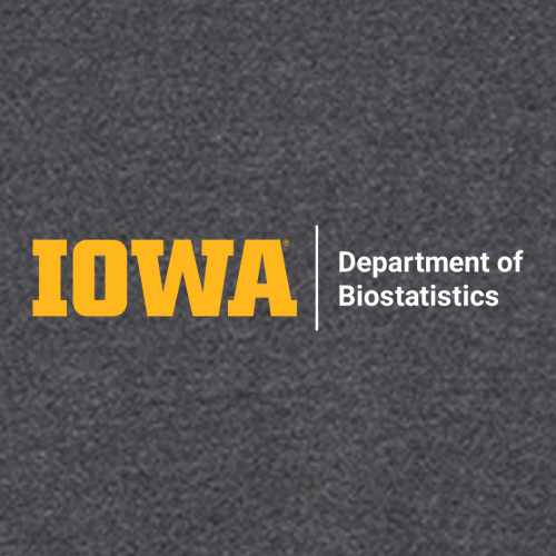 Gildan Heavy Cotton Longsleeve Basic T-Shirt -- Dark Heather