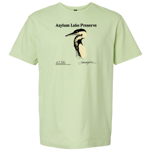 Gildan SoftStyle T-Shirt -- Pistachio