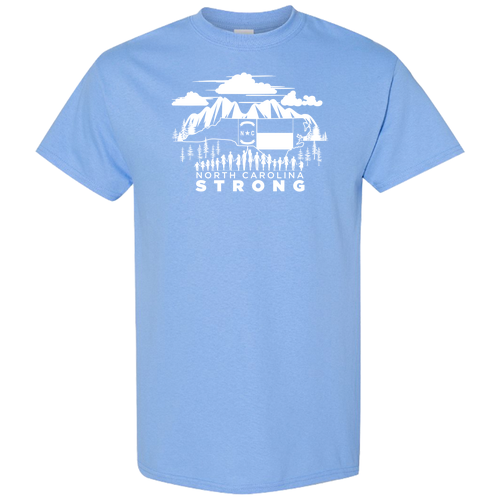 Gildan Heavy Cotton Basic T-Shirt -- Carolina Blue