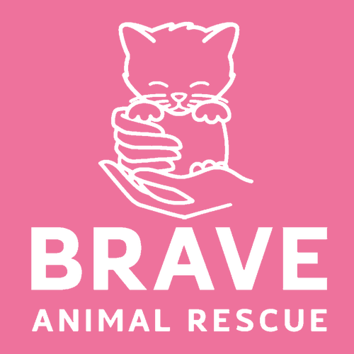 Brave Heavyweight Tee -- Crunchberry