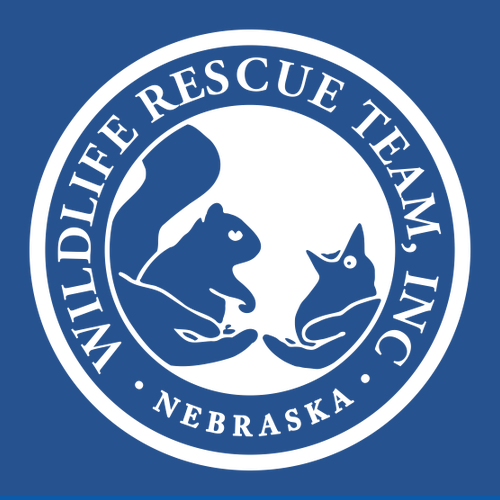 Jerzees 8 Oz. 50/50 Nublend Fleece Crew -- Royal