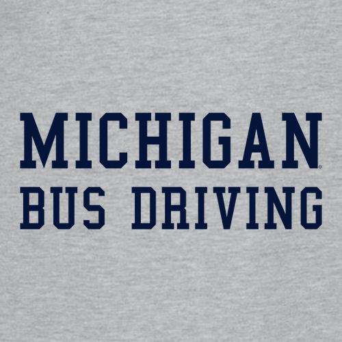 Gildan Heavy Cotton Basic T-Shirt -- Sport Grey