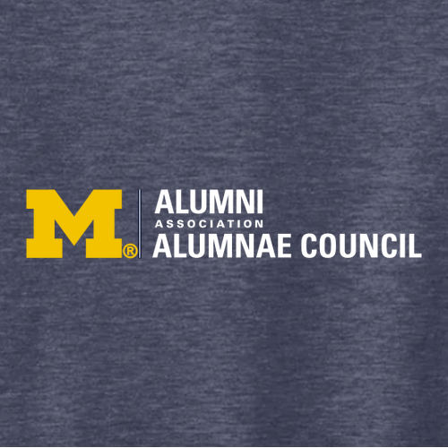 Ladies District Made Soft Perfect Weight V-Neck Tee -- Heathered Navy