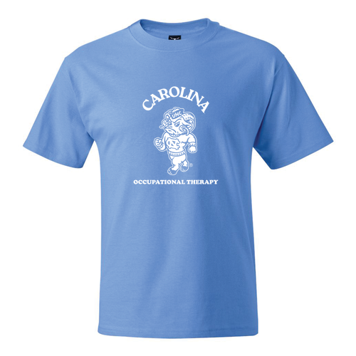 Hanes Beefy-T Basic T-Shirt -- Carolina Blue