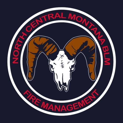 Gildan Softstyle Longsleeve T Shirt -- Navy