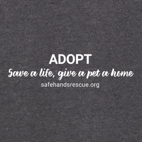 Hanes EcoSmart Crewneck Sweatshirt -- Charcoal Heather