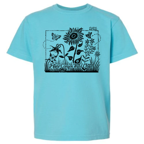 Comfort Colors Youth Garment-Dyed Heavyweight T-Shirt -- Lagoon