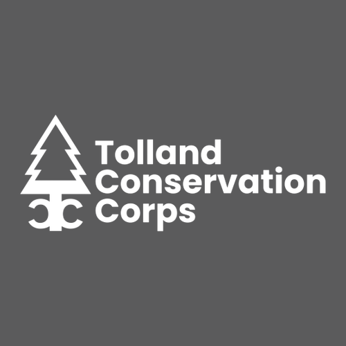 Cutter & Buck Prospect Textured Stretch Men's Short Sleeve Polo -- Elemental Grey