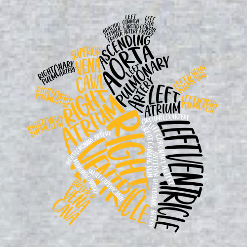 Gildan Heavy Cotton Basic T-Shirt -- Sport Grey