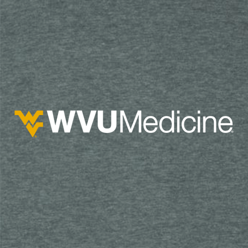 Gildan Ultra Cotton Longsleeve Basic T-Shirt -- Dark Heather