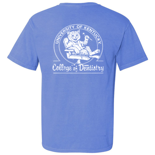 Comfort Colors Unisex Garment-Dyed Heavyweight Pocket T-Shirt -- Flo Blue