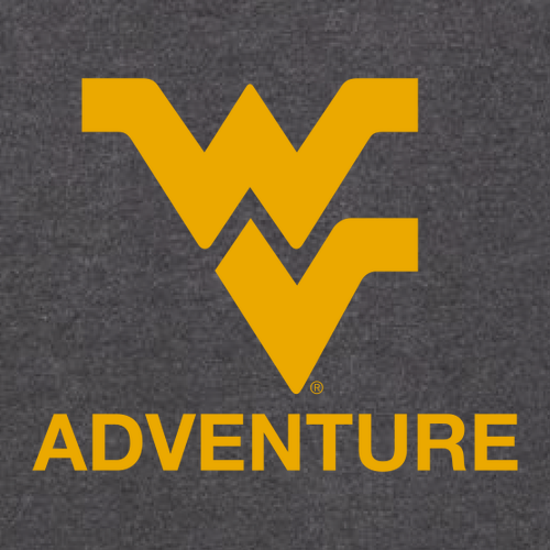 Charles River Womens Pacific Heathered Vest -- Charcoal Heather