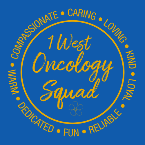 Gildan SoftStyle Fitted T-Shirt -- Royal