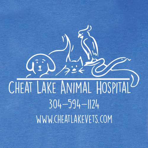 Bella+Canvas Unisex Heather Cvc Long Sleeve Tee- Heathers -- Heather True Royal
