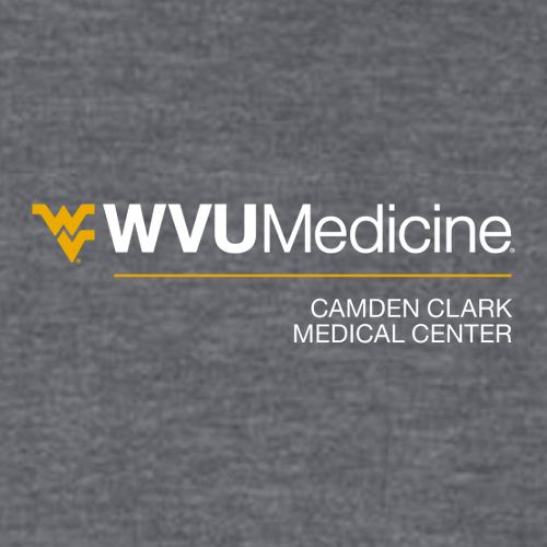 Gildan SoftStyle Fitted T-Shirt -- Dark Heather