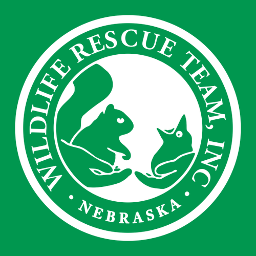 Gildan Heavy Cotton Longsleeve Basic T-Shirt -- Irish Green