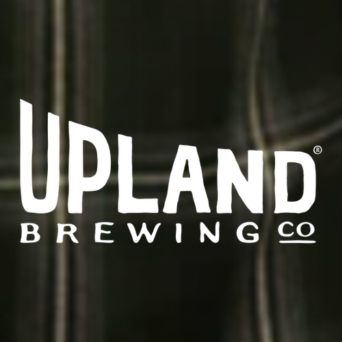 Burnside Perfect Flannel Work Shirt -- Black / Army