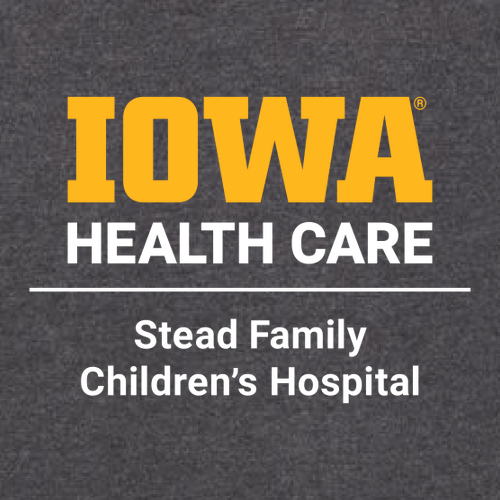 Charles River Mens Heathered Fleece Pullover -- Charcoal Heather