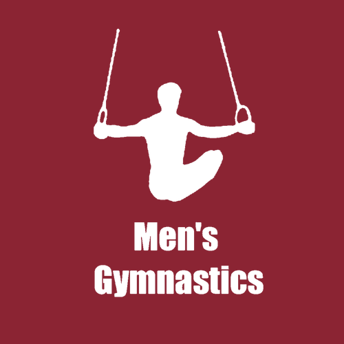 Gildan SoftStyle Fitted T-Shirt -- Cardinal Red