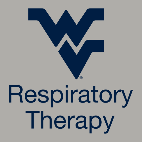 Gildan Heavy Cotton Basic T-Shirt -- Ash